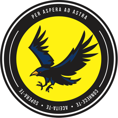 Camiseta Hero Corvo - Babylook