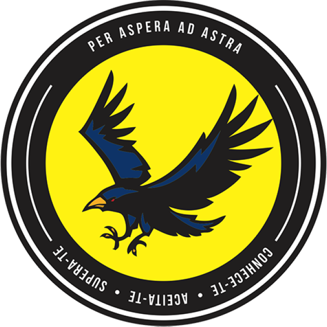 Camiseta Hero Corvo - Masculina Camiseta Hero Corvo - Masculina