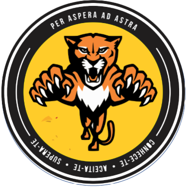 Camiseta Hero Puma - Babylook