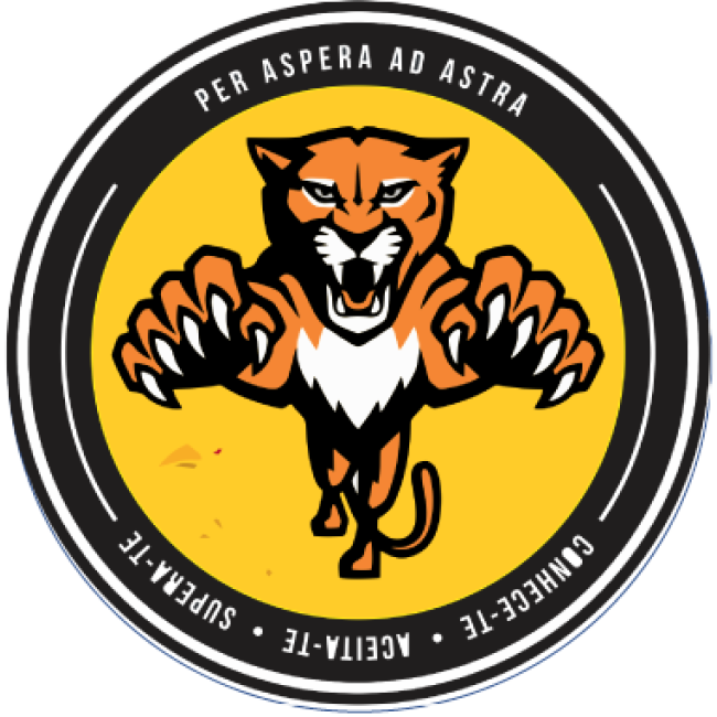 Camiseta Hero Puma - Babylook Camiseta Hero Puma - Babylook