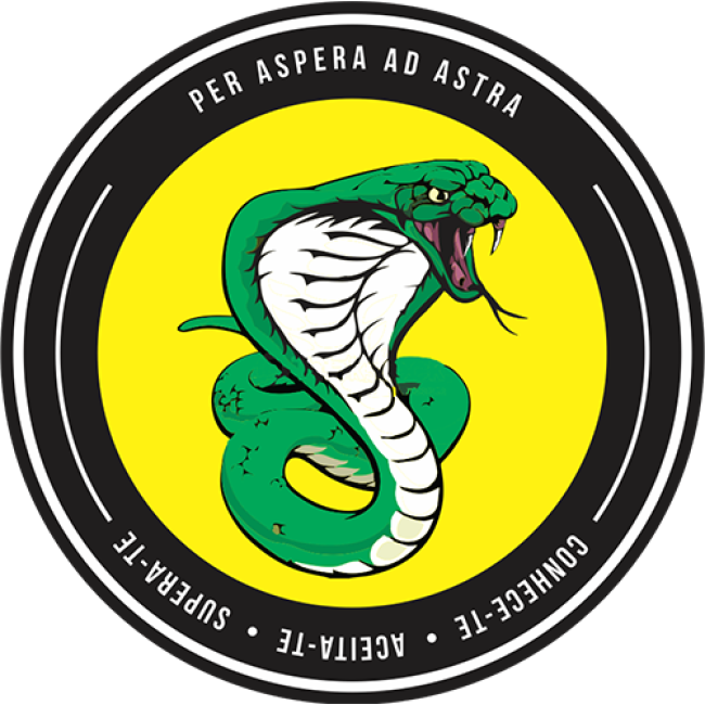 Camiseta Hero Serpente - Babylook Camiseta Hero Serpente - Babylook